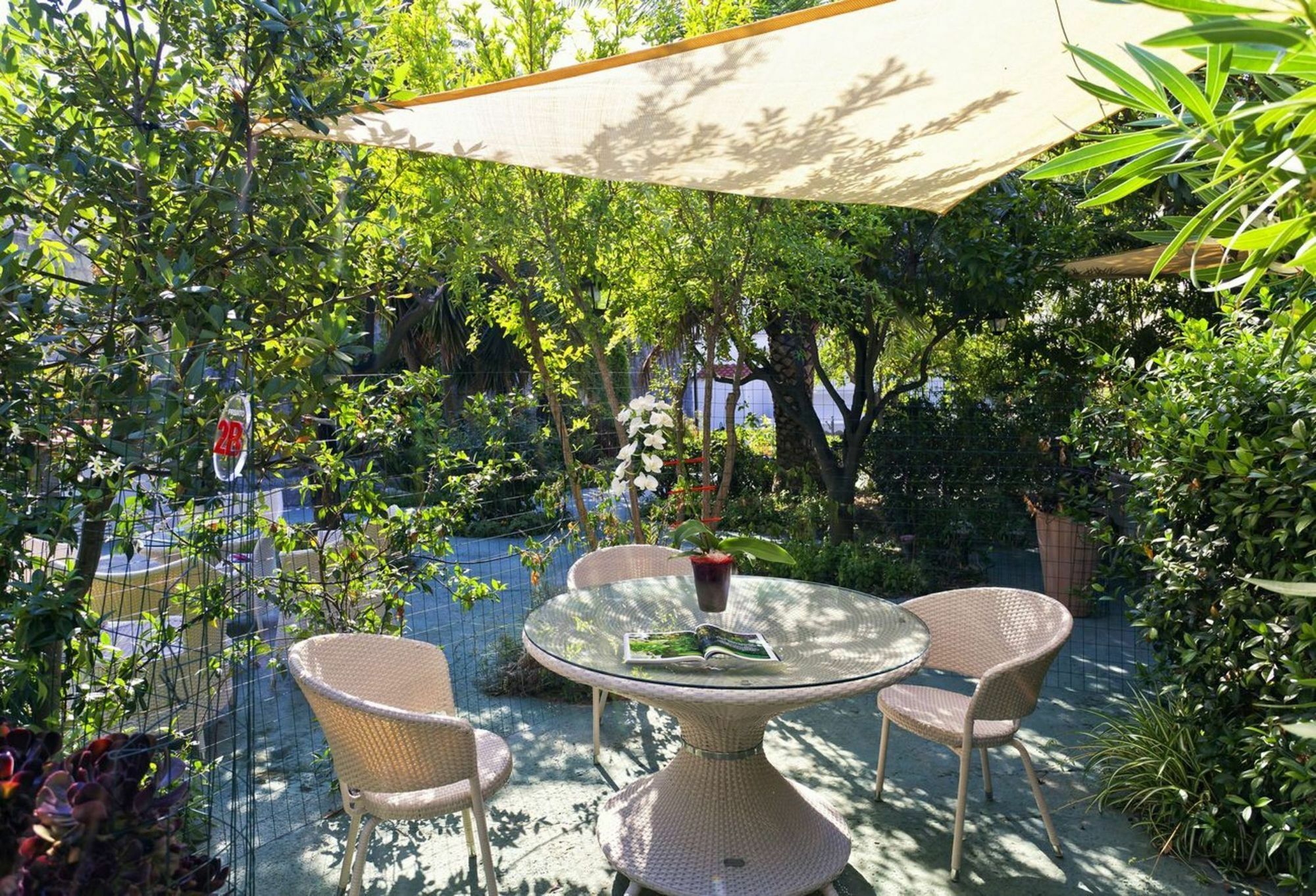 Parco Del Generale Ferienhaus Forio di Ischia